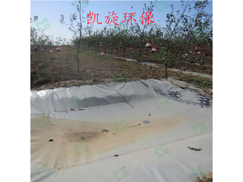 集雨水窖 集雨水窖